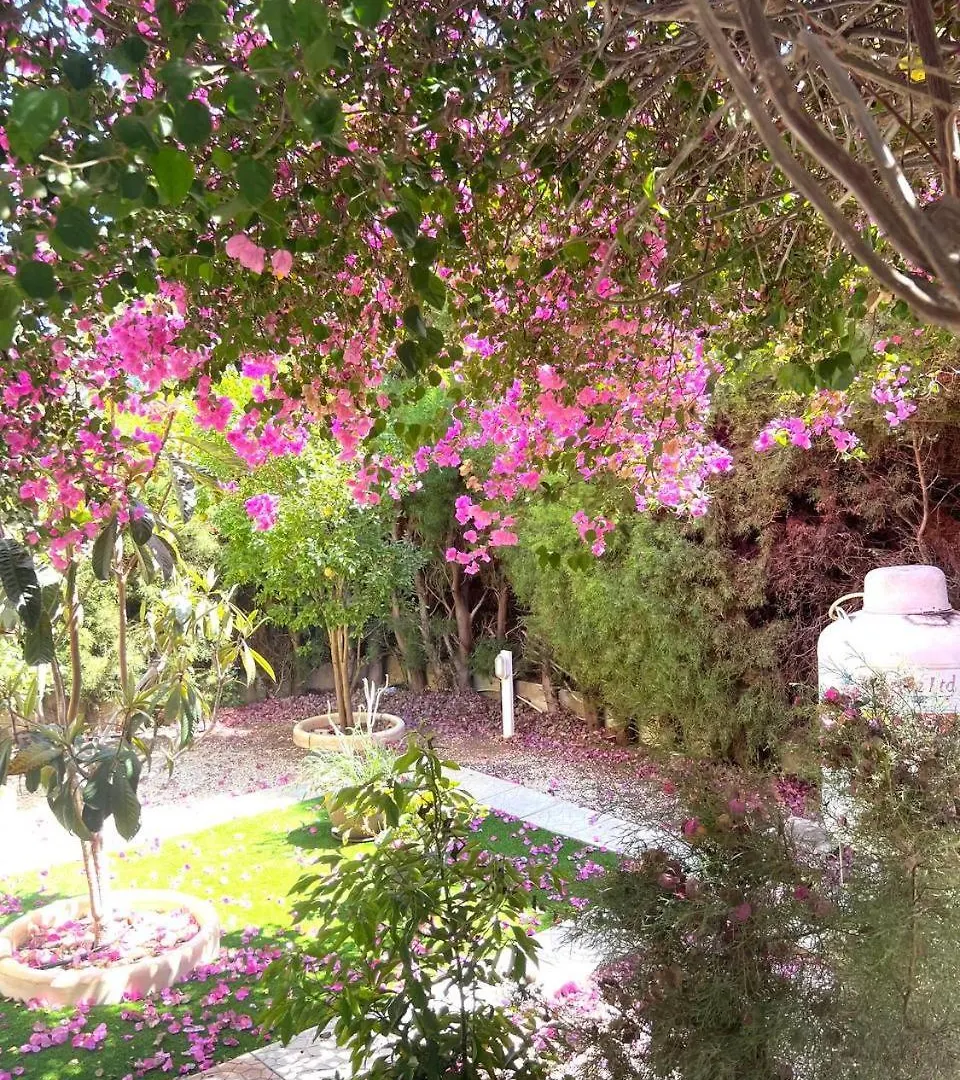 Serene Garden Near Sea Meneou 0*,